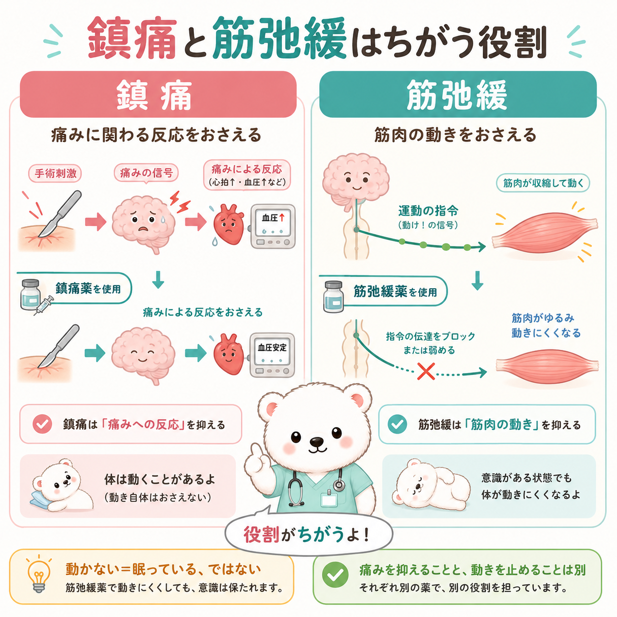 鎮痛と筋弛緩は役割が違う