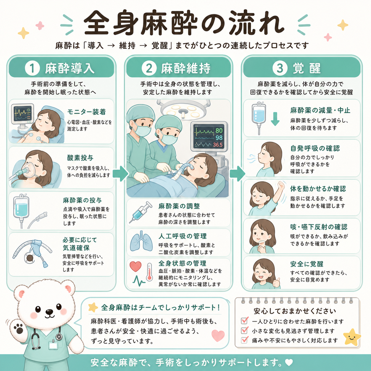 全身麻酔の流れ（導入・維持・覚醒）