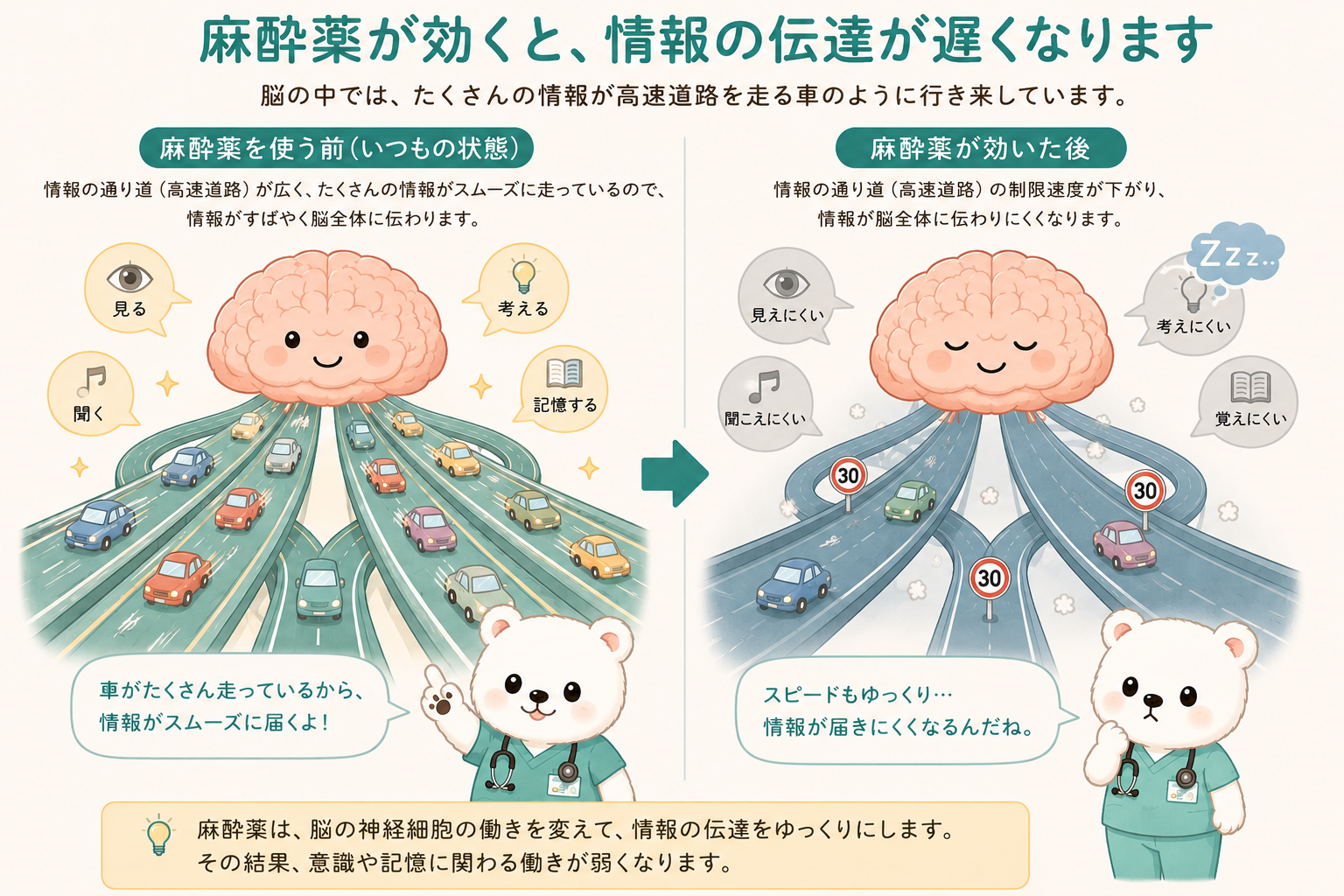 麻酔薬と脳の働き