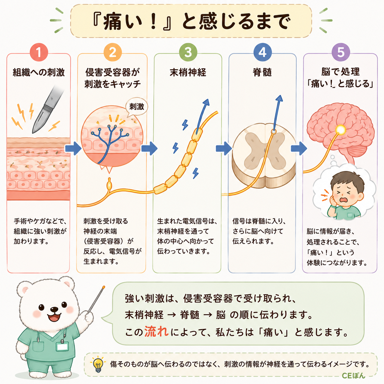 痛いと感じるまで