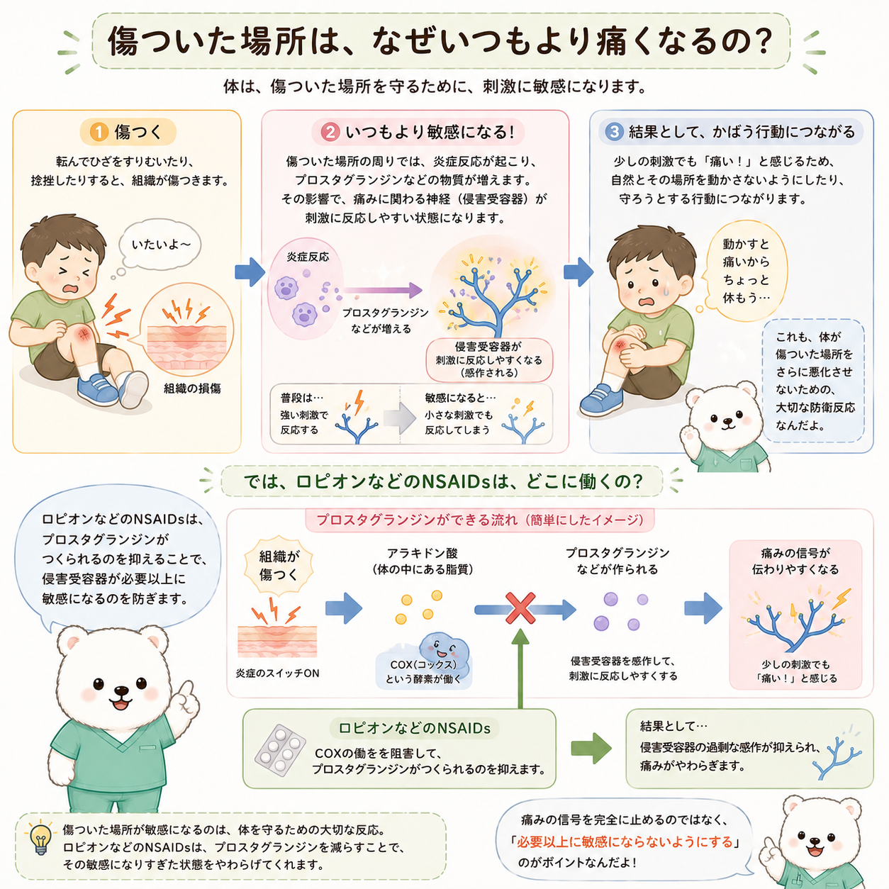 傷ついた場所へのロピオンの効果
